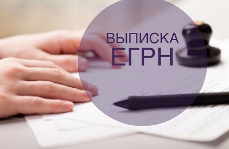 Появится новый вид выписки из ЕГРН Появится новый вид выписки из ЕГРН